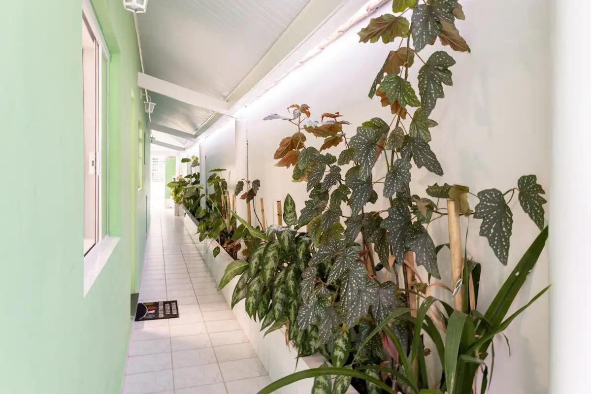 Casa Com 4 Quartos Centro Сан-Себастьян Екстер'єр фото